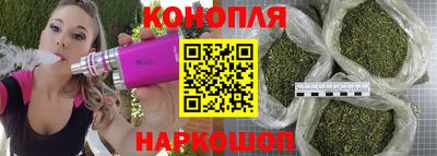 ALPHA PVP Гусев